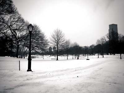 Black and white photograph of Central Park in the snowy winter